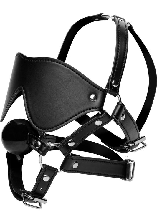 Strict Eye Mask Harness With Ball Gag